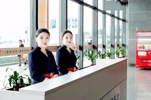 自助值機(jī)營(yíng)銷員 駐點(diǎn)營(yíng)銷經(jīng)理崗位等你來(lái) 真檸